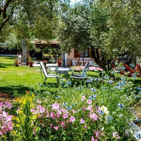 Small Paradise Nikiti (Sithonia)