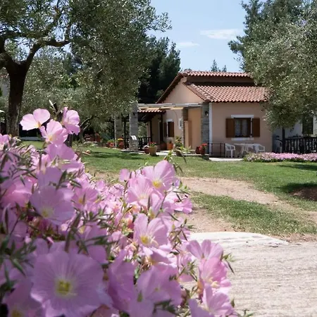 Small Paradise Nikiti (Sithonia)