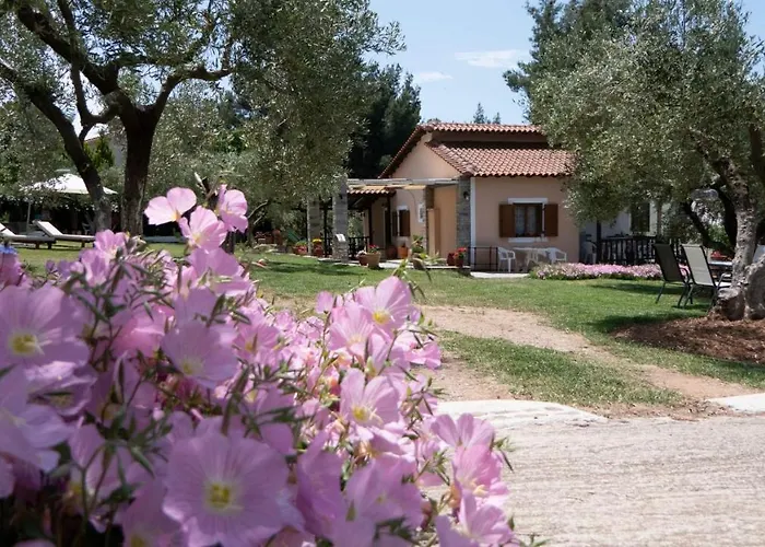 Small Paradise Nikiti (Sithonia)