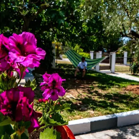 Small Paradise Σπίτι διακοπών Νικήτη